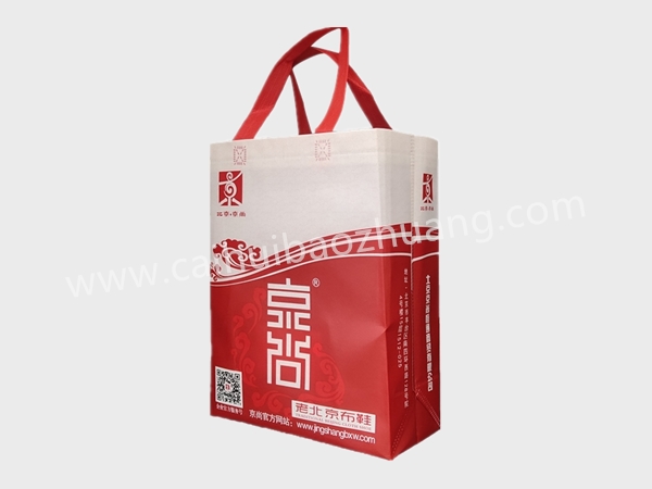 彩匯包裝  鞋盒手提袋  無紡布手提袋